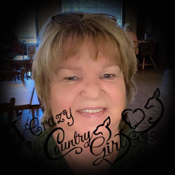 Meet your Posher, Ann - Picture 1 of 1